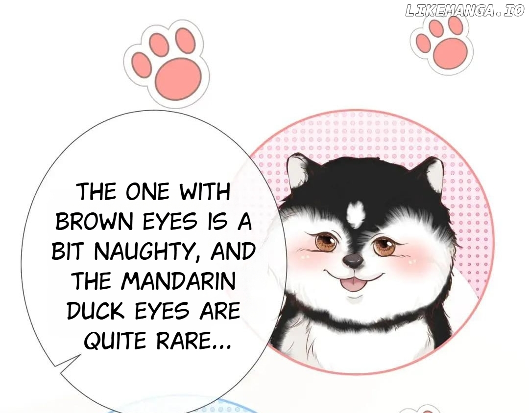 Everyone's Darling Chapter 149 - page 46